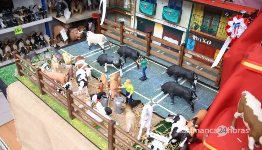 Reportaje de alimentaria y feria artesania en Salamaq