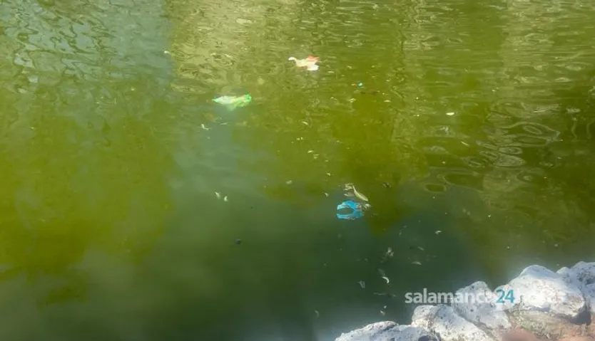 Suciedad en el estanque del parque de La Alamedilla