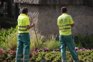 Trabajadores en un jardín de la capital