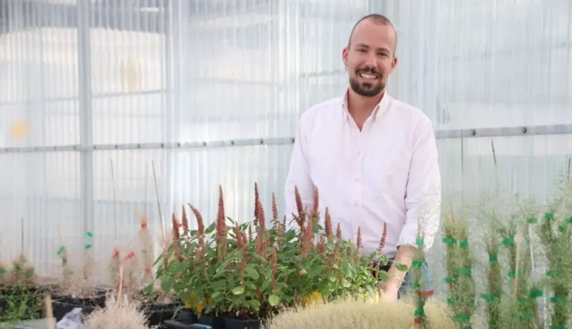 Investigación CIALE del cultivo de amaranto con Pablo Albertos