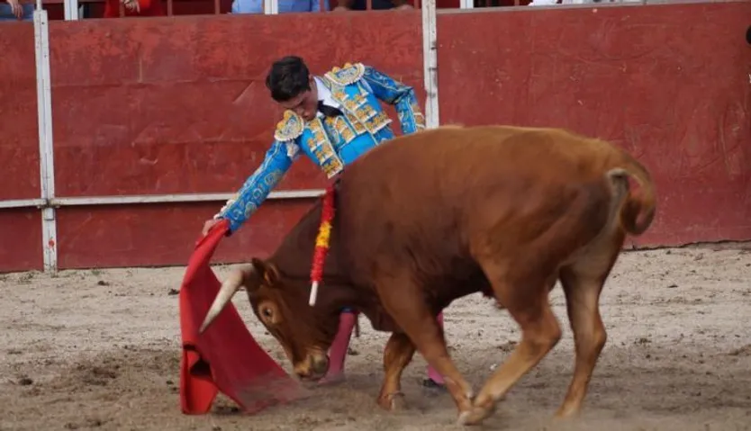 Novillada en Carrascal de Barregas