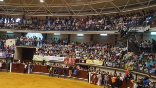 Toro del cajón