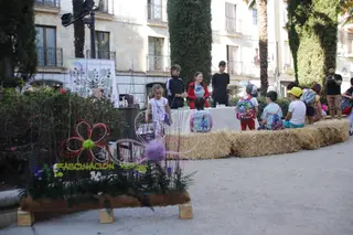 ‘Salamanca: Fascinación Verde’