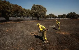 GALERÍA Incendio forestal intencionado en Campillo de Azaba. Fotos José Vicente ICAL (8)