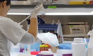 Investigación biosanitaria. Foto EP