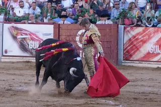 Feria de Guijuelo, viernes 19 de agosto