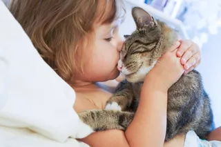 Gatos y bebés | Foto: Infosalus