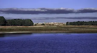 Humedales en Castilla y León (1)