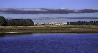 Humedales en Castilla y León (1)
