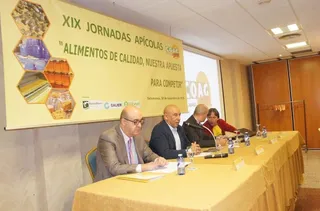 Calidad de la miel, enfermedades y plagas, principales preocupaciones de los apicultores charros