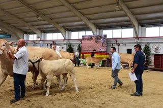 Concurso nacional Blonda Salamaq