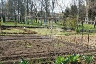 El Ayuntamiento de Ciudad Rodrigo publica las bases para la adjudicación de huertos familiares