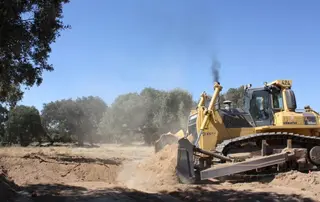 Berkeley insiste en la gran inversión en la zona que permitirá crear una gran cantidad de empleos