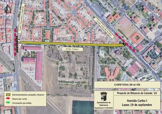 Cortes en la Avenida de Carlos I