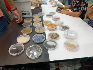 Taller de biodiversidad de cultivos de la USAL en Salamaq