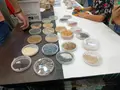 Taller de biodiversidad de cultivos de la USAL en Salamaq