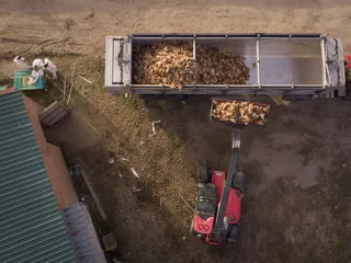 Una excavadora llena un tráiler con cadáveres de gallinas | Greenpeace
