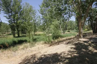 Ribera del Tormes en La Aldehuela