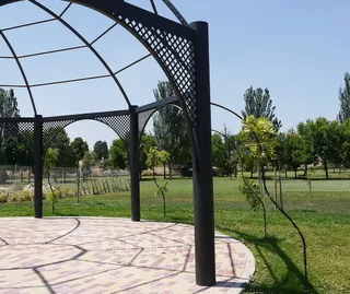 Prado de la vega Carbajosa de la Sagrada