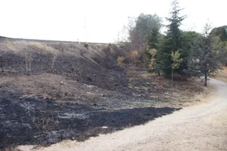 Incendio Tejares