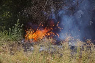 Incendio forestal en Aldeaseca de Alba. FOTO de archivo