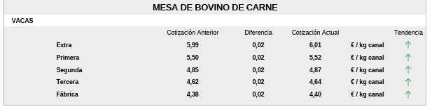 Mesa De Bovino De Carne 1 Lonja 7 Septiembre 26.jpg