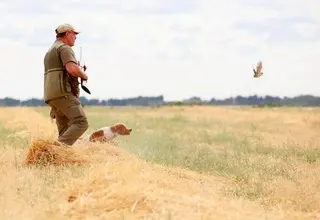 Un cazador y su perro localizan a una codorniz. Foto Leticia Pérez | ICAL