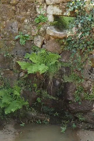 Robo de agua en El Bosque de Béjar