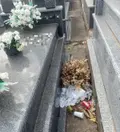 Restos de flores y residuos se acumulan entre las tumbas del cementerio de Salamanca. Fotodenuncia