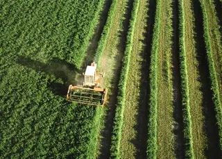 Aumenta la contratación en líneas de seguro agrícolas y ganaderas