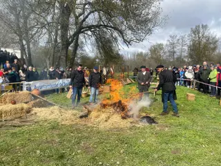 Matanza Santa Marta