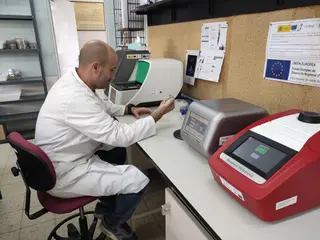 El IRNASA-CSIC de Salamanca crea un Servicio de Bioinformática y Edición Génica para la mejora de cultivos. Foto de archivo