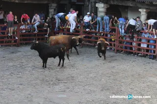 Encierros de La Alberca 2018 (38)