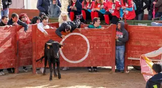 Cabrillas fiestas previas a la pandemia