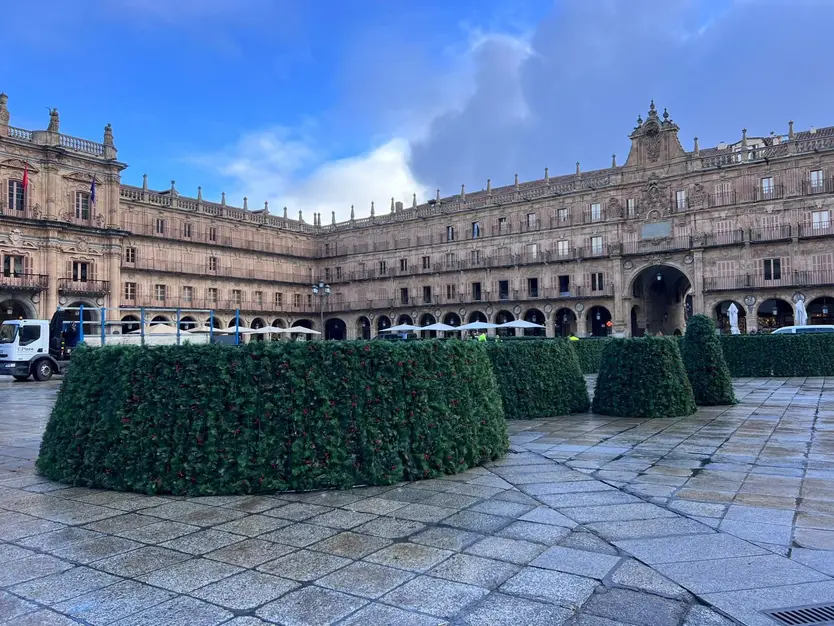 Montaje del árbol de 23 metros en la Plaza Mayor de Salamanca por Navidad
