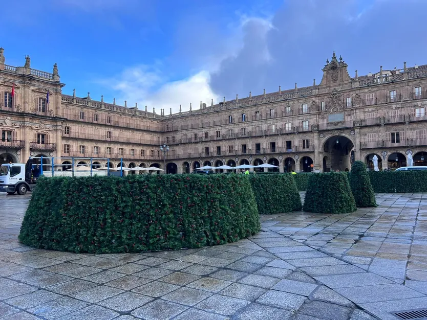 Montaje del árbol de 23 metros en la Plaza Mayor de Salamanca por Navidad