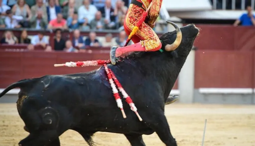 Marco Pérez. Foto: Plaza 1