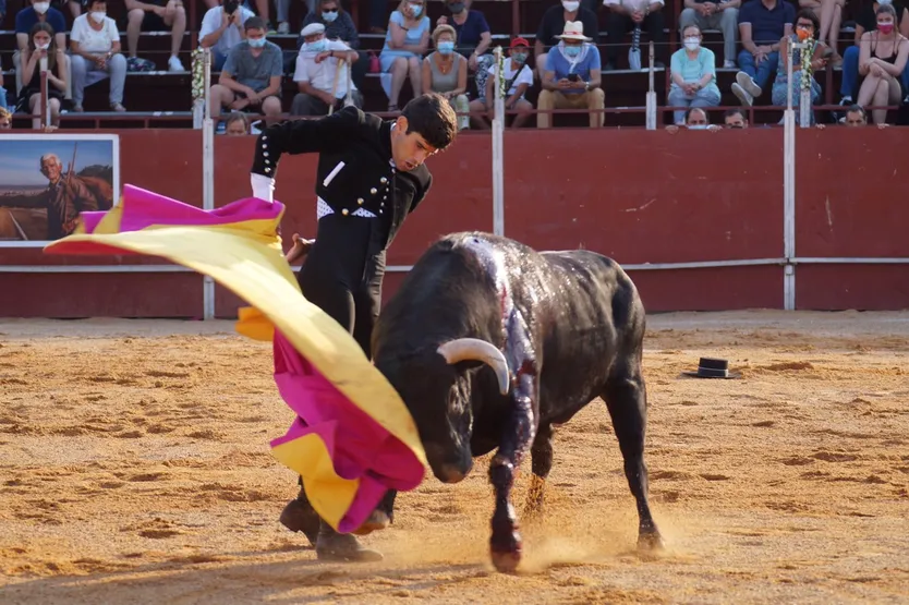 López Simón 3