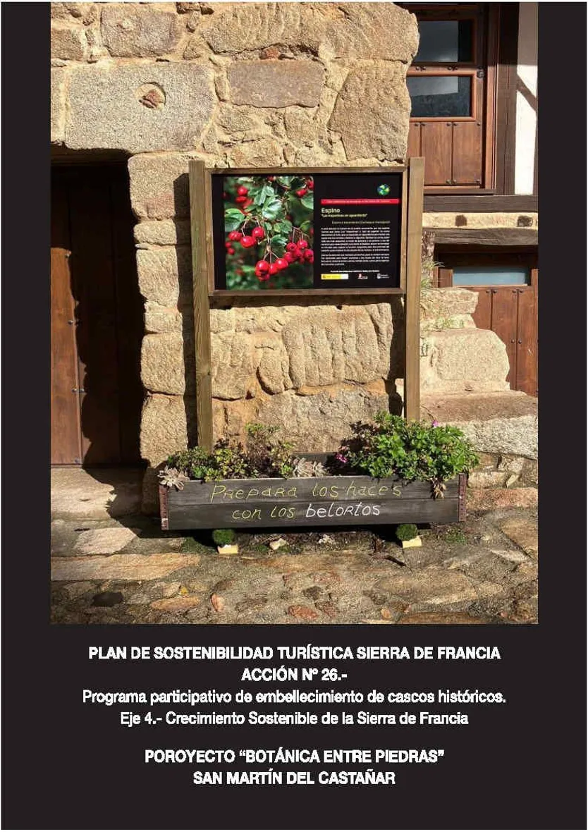 Exposición etnobotánica San Martín del Castañar
