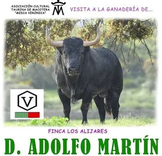 Visita de la Asociación Taurina de Macotera a la ganadería de Adolfo Martín