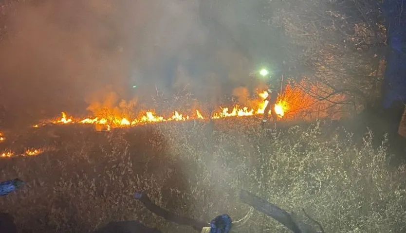 Bomberos de la Diputación colaboran en el incendio de Ávila
