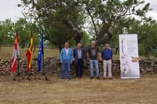 Presentación Almendros Vivos 2017
