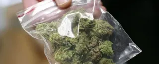 La Guardia Civil descubre dos plantaciones de marihuana en el Valle de Tobalina