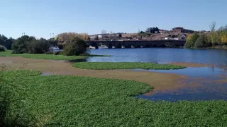 La Confederación continúa negando ayudas ante los problemas del río Tormes