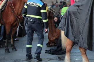 Un caballo se cae durante La Dominicana