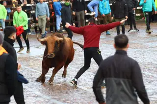 Toro del aguardiente en la mañana de martes del Carnaval del Toro 2026 | Mateo G.J.