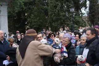 Bendición de los animales por San Antón en el Campo de San Francisco | Mateo G.J.