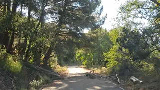 Vecinos denuncian el abandono del camino agrícola entre Sequeros y Las Casas del Conde