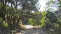 Vecinos denuncian el abandono del camino agrícola entre Sequeros y Las Casas del Conde
