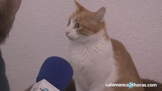 2856961